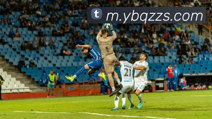 yabo亚博APP 封面图